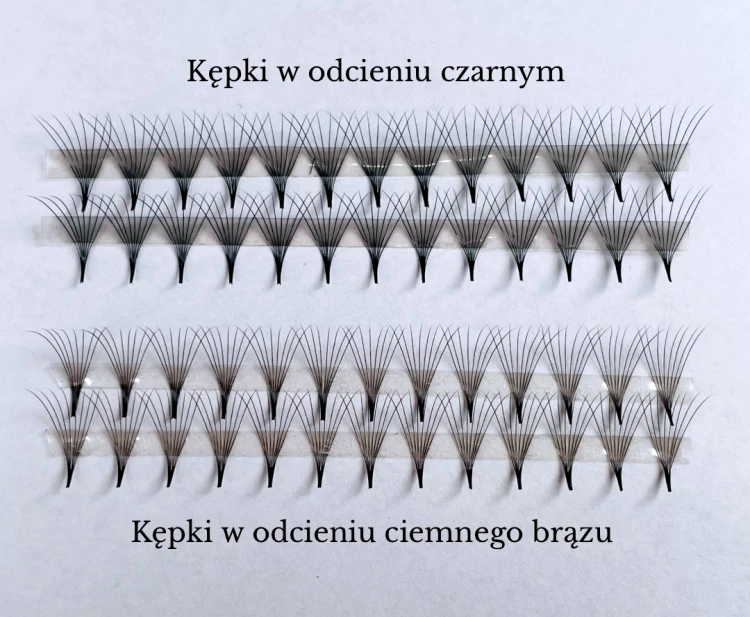 Projekt grafiki dla oferty rzęs.png