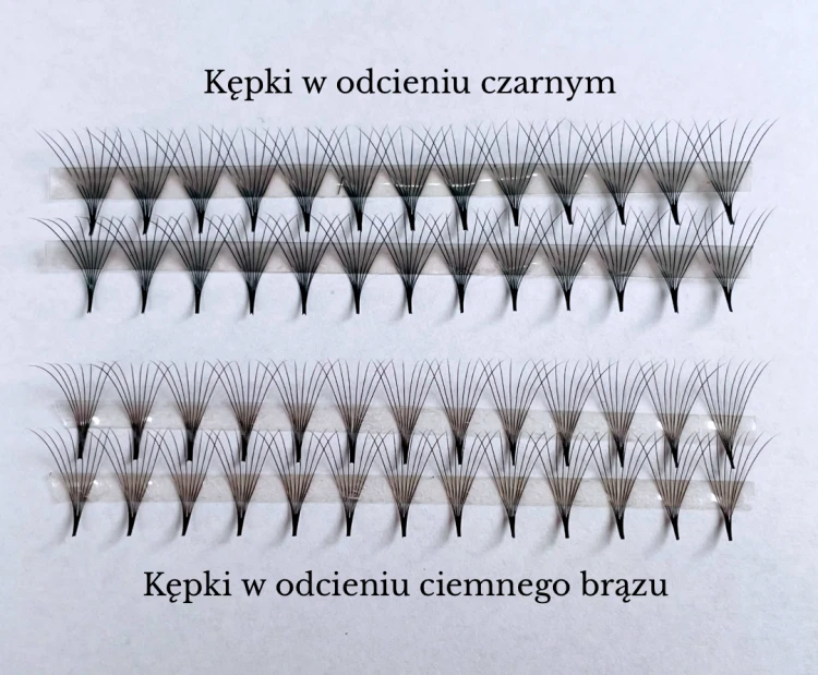 Projekt grafiki dla oferty rzęs.png