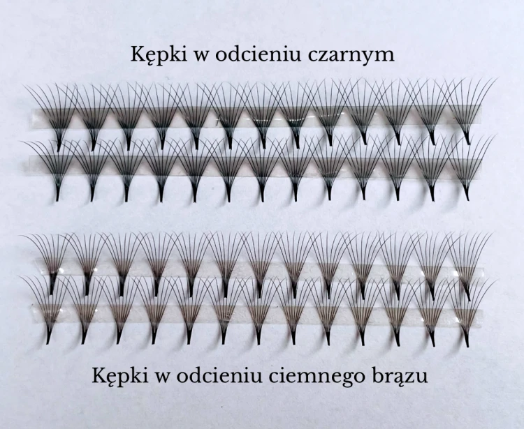 Projekt grafiki dla oferty rzęs.png