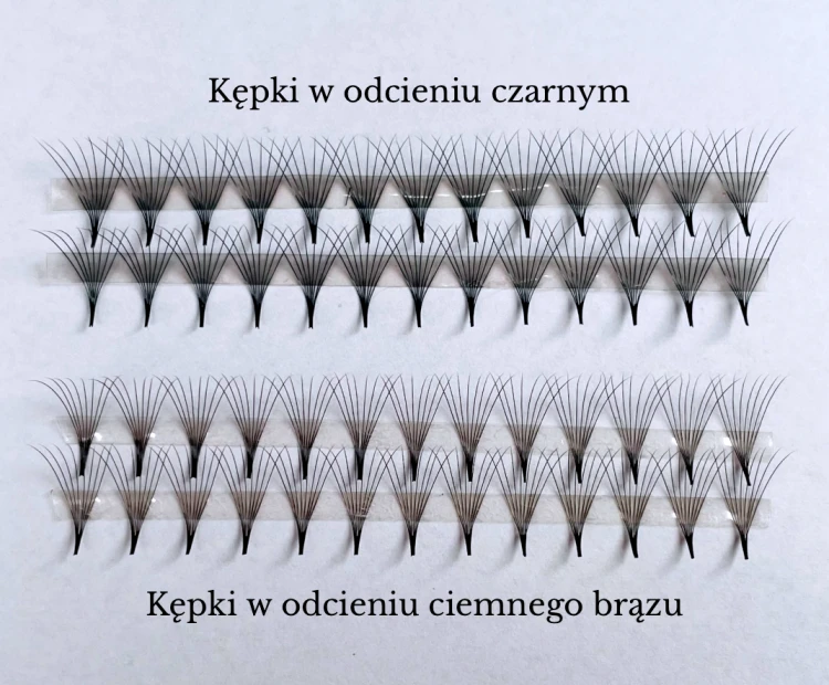 Projekt grafiki dla oferty rzęs.png