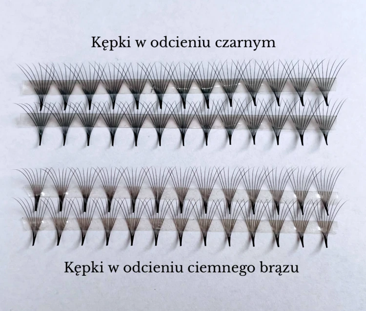Projekt grafiki dla oferty rzęs.png
