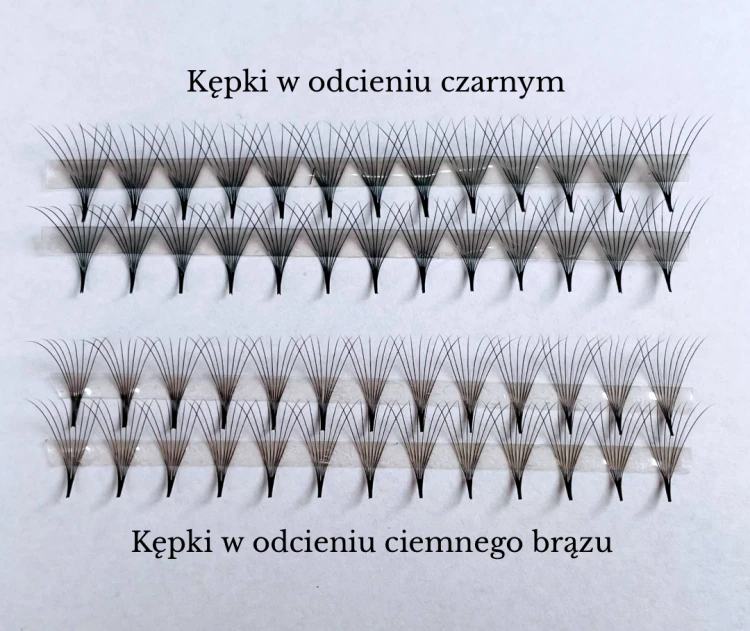 Projekt grafiki dla oferty rzęs.png
