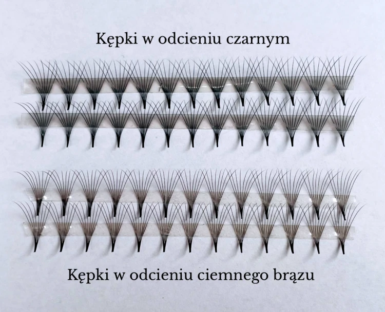 Projekt grafiki dla oferty rzęs.png