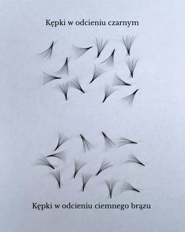 Projekt grafiki dla oferty rzęs.png