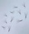 IMG_8142.jpeg